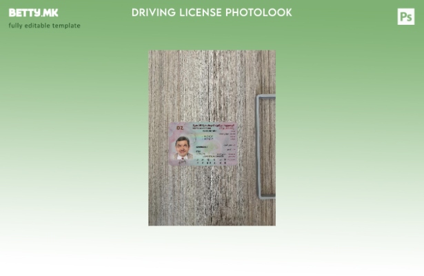 Модерен стил Алжир возачка дозвола фото изглед пред шаблон